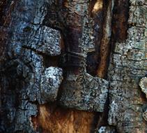 Holzmaske