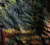 Fine Art 2