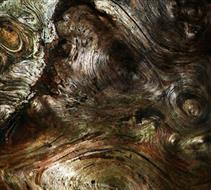 Fine Art 5