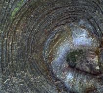 Universum