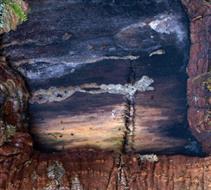 Landschaft